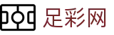 世界杯竞彩安全买球推荐榜单 - 足彩网